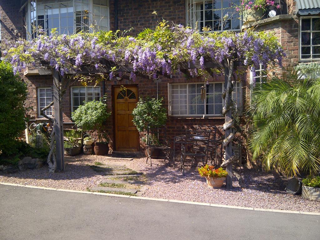 Babbling Brook Bed & Breakfast 彼得马里茨堡 外观 照片