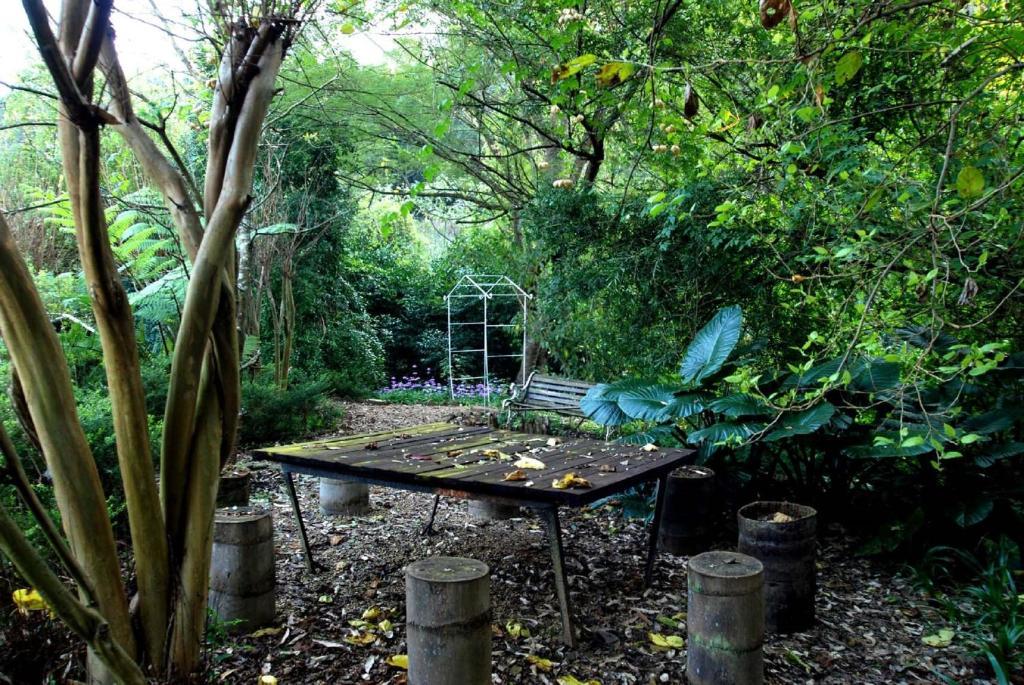 Babbling Brook Bed & Breakfast 彼得马里茨堡 外观 照片