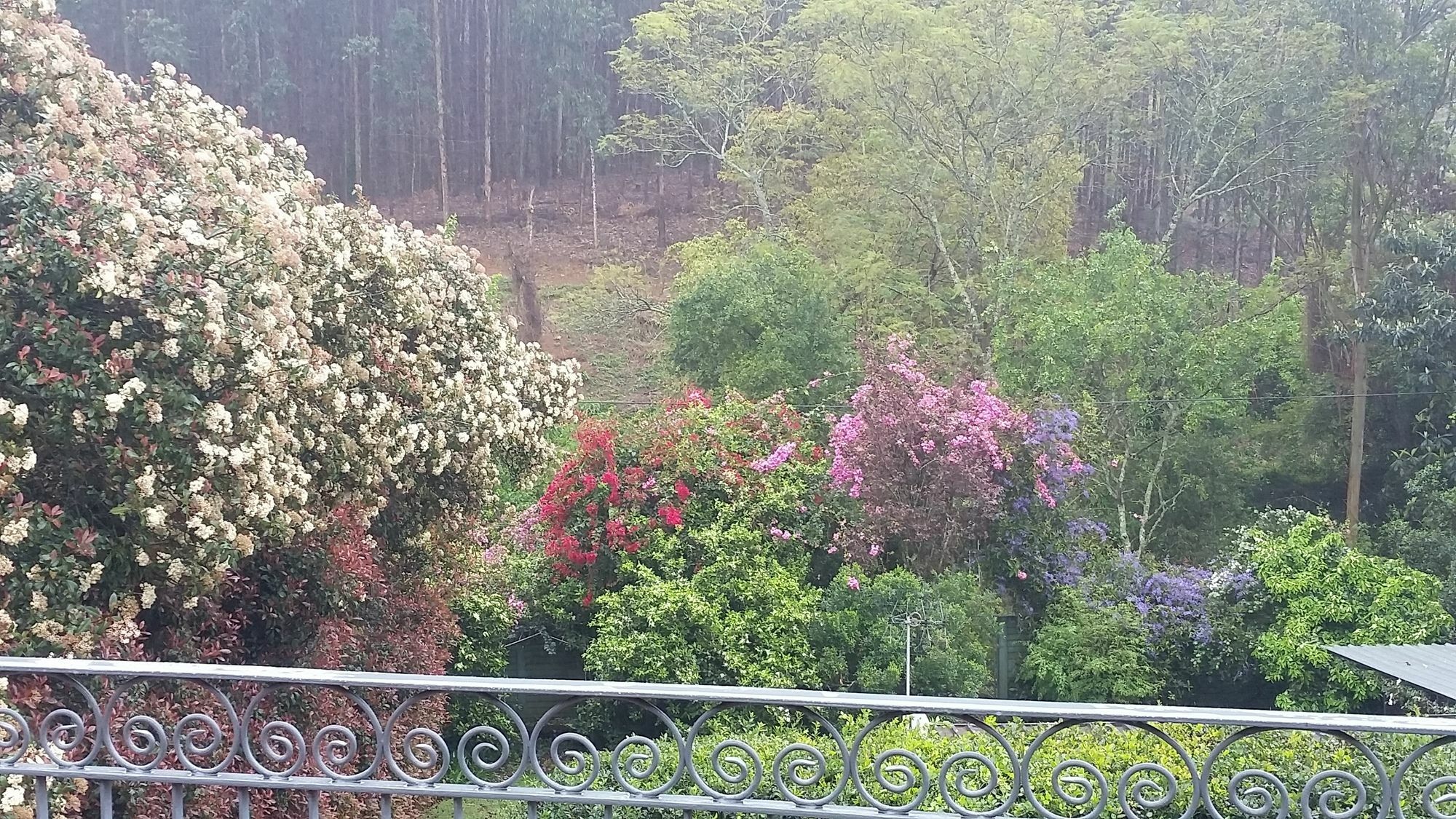 Babbling Brook Bed & Breakfast 彼得马里茨堡 外观 照片